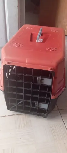 Caixa de transporte para pets número 2