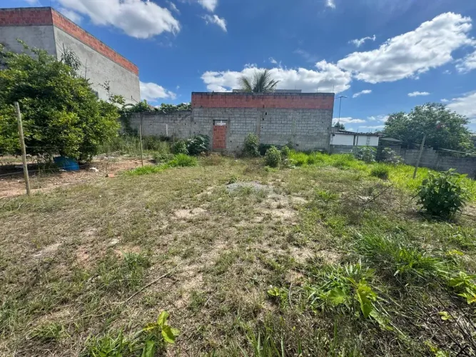 Lote Plano 300,00 m2  em Vila Primavera - Jarinu - SP -  Doc.OK!/ Apto Financiamento/4 km 