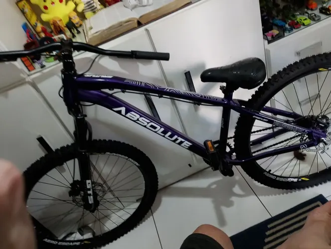 Bicicleta aro 29 absolute Brutus roxa 