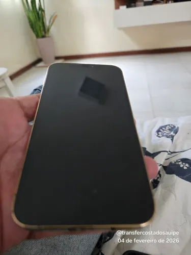 Iphone 12 Pro Max 256gb