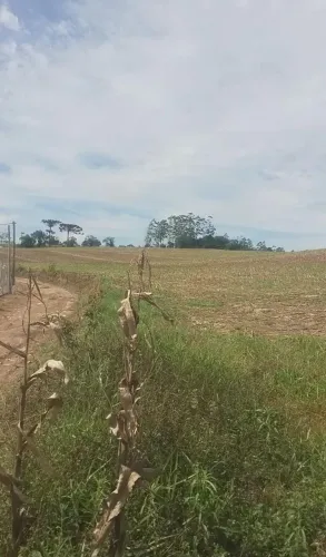 ótimo para investimento, imperdível