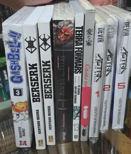 Lote de mangá e livros