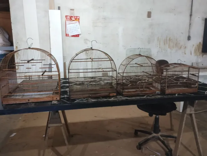 Gaiolas combino entrega