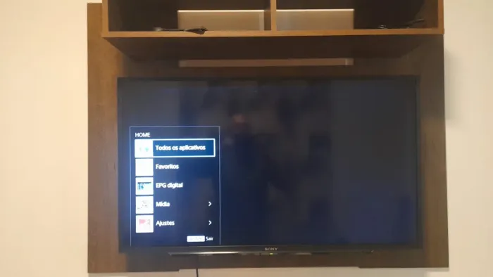 Televisão