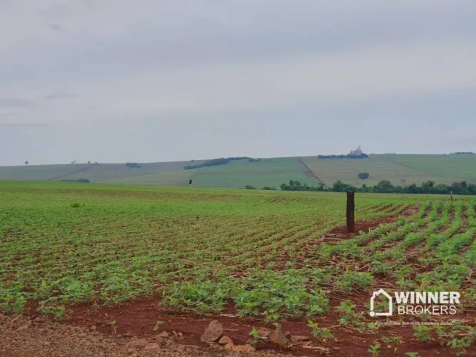 Sítio à venda, 145200 m² por R$ 2.100.000,00 - Rural - Ourizona/PR