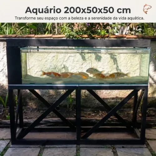 ? Aquário 200x50x50 cm Completo - Pronto para Uso