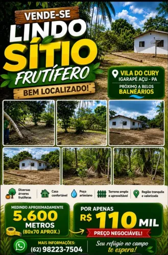 Sítio 5.600 m² com casa e árvores frutíferas - Vila do Cury / Igarapé-Açu-PA
