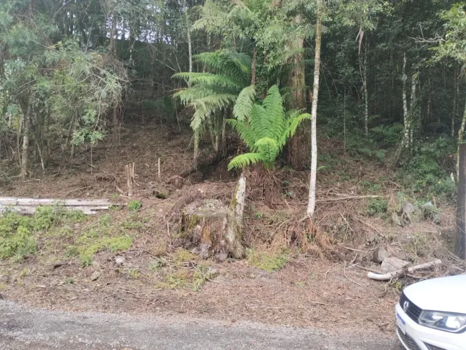 Atenção! Baixou valor pra vender neste mês!