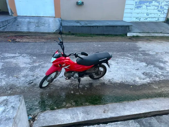 Pop 110 2026