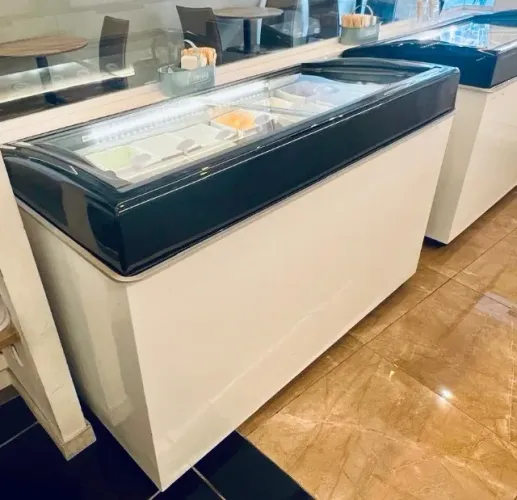 Freezer horizontal Ártico 460Lts