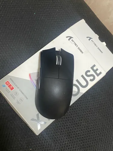 mouse attack shark