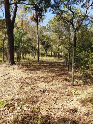 Área escriturada, com compra e venda