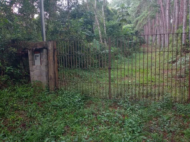 Amigo terreno para antena de celular ou plantação 1000 metros  Juquitiba sp 