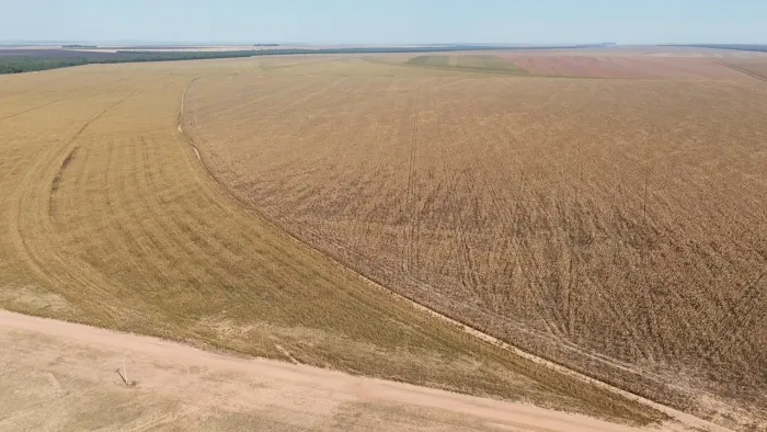 Fazenda de arrendamento soja 2.800 hec em Boa Esperança Norte MT.