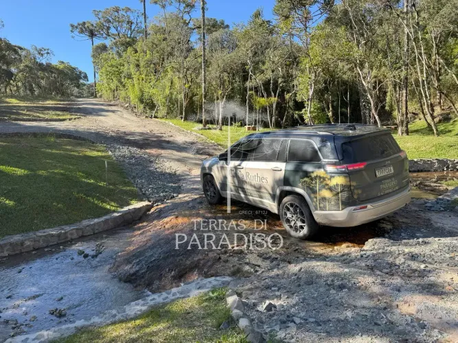 Terreno Rural Exclusivo com 20.000 m² em Campo Alegre/SC | Natureza, Privacidade e Alta Va