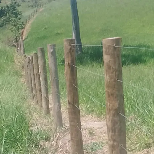 Fazemos cerca .limpeza .corte plantação gramas.tudo fazenda . sítio.todos serviço roças.