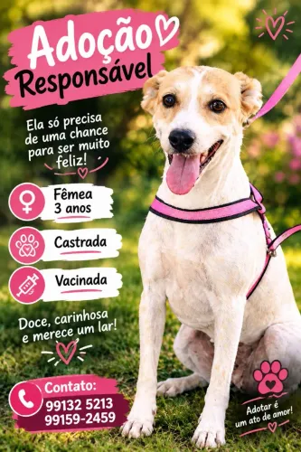 Adoção responsável 