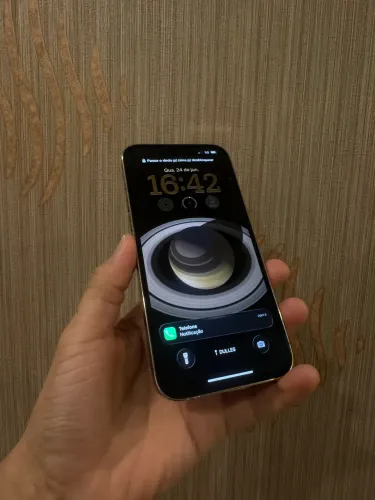 iPhone 13 Pro Max 256