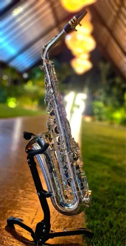 Sax alto Eagle 510S profissional Master Séries