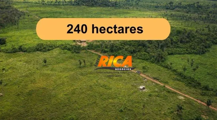 Vende-se fazenda com 240 hectares, localizada em área privilegiada e produtvia - Área Rura