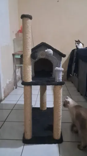 Arranhador para Gatos com Casinha