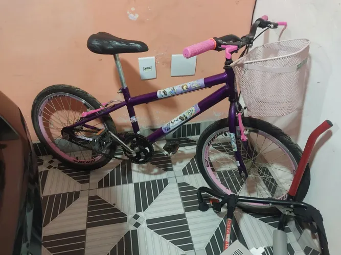 Bicicleta infantil com suporte veicular