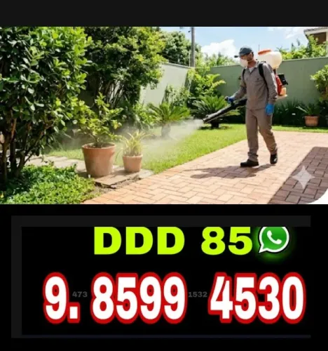 Dedetização Segura com Atendimento Imediato