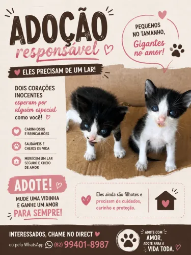 Adoção
