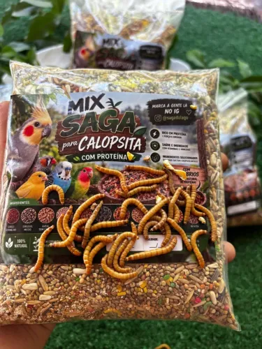 Sementes para calopsitas e periquitos com cálcio e proteína 