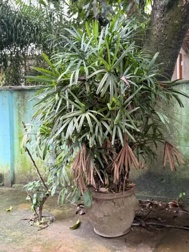 Vaso de planta de concreto