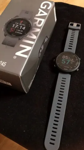 Garmin 245 versão padrão