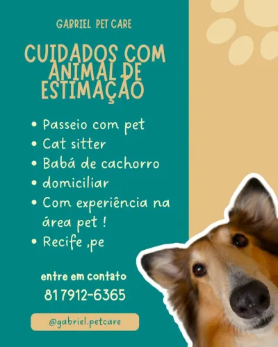 Cuidador de cães, Passeio , Pet sitter