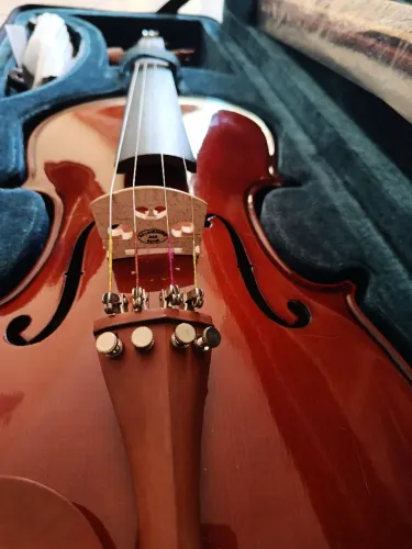 Kit iniciação musical: violino Eagle 4/4 para iniciantes, 5 livros, 1dvd e flauta Yamaha 