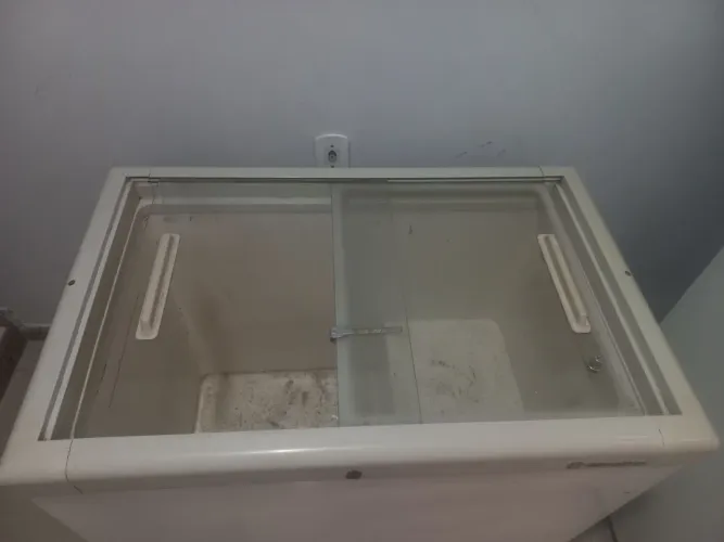 Freezer 220v