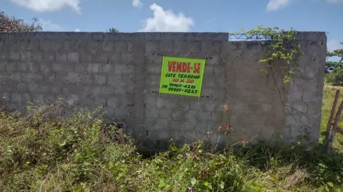 Lote: 10m x 25 m