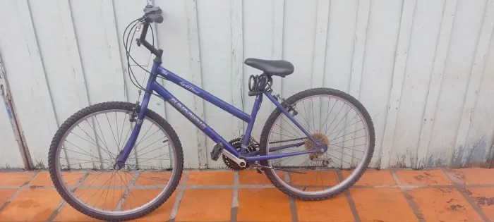 Bicicleta Soundow Usada