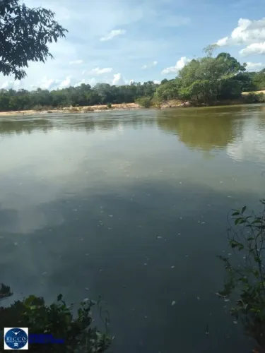 Fazenda à Venda em Paranã TO | 740 Alqueires na Margem do Rio, Toda Plana