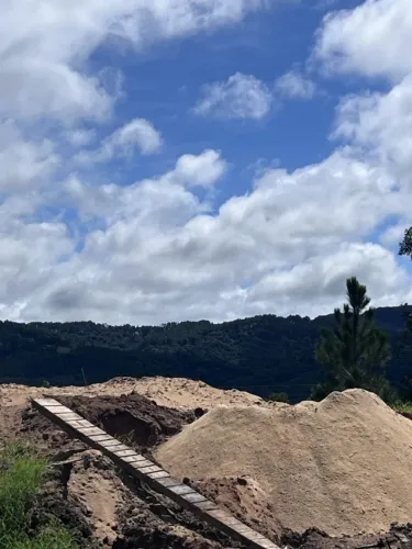 Serragem de Pinus SECA E UMIDA