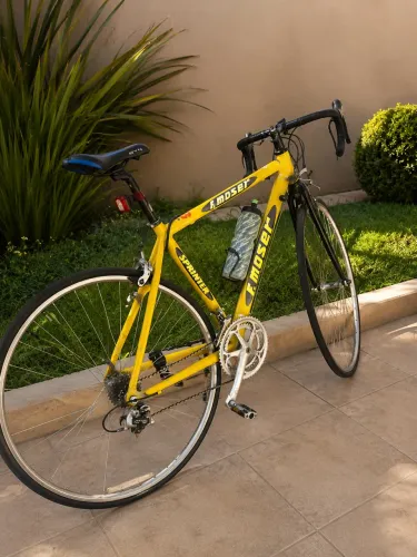Bicicleta speed moser