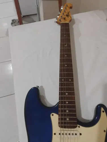 Guitarra Shelter USA