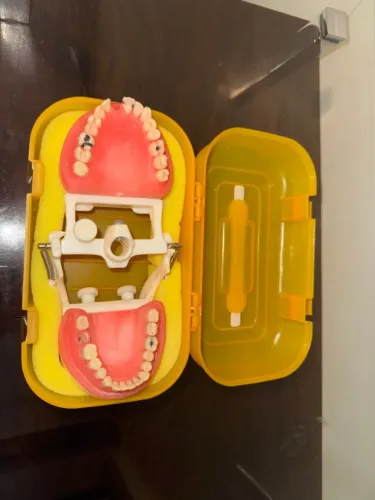 Manequim Odontológico Dentística Orais Ref. 101