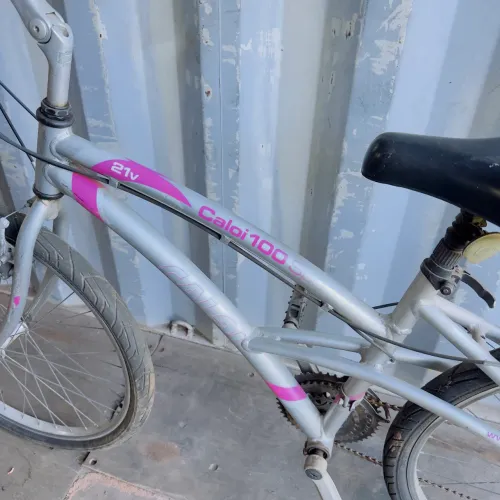 Bicicleta Caloi 100 21 marcha