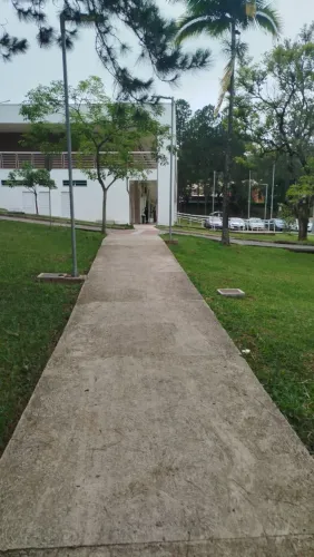 Limpeza de terrenos e jardinagem