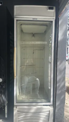 Frezer para congelados - 18
