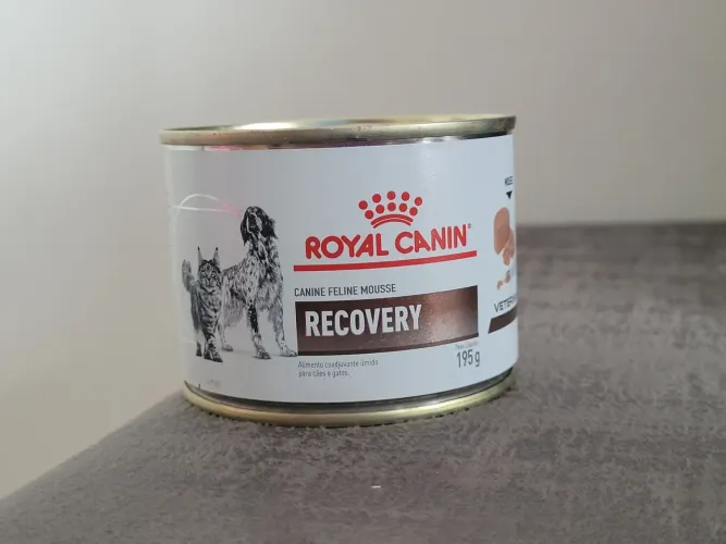 Ração úmida Royal Canin Recovery
