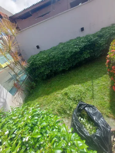 Roçagem e limpeza