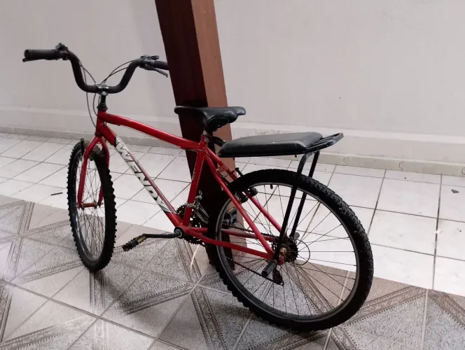 Bicicleta adulto 