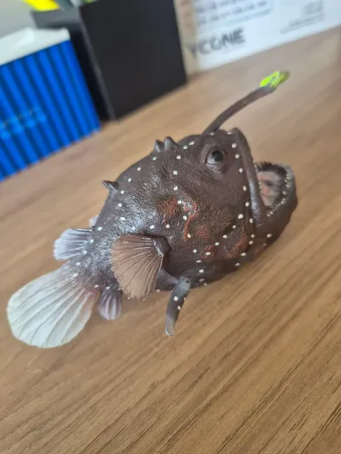Peixe abissal tamboril