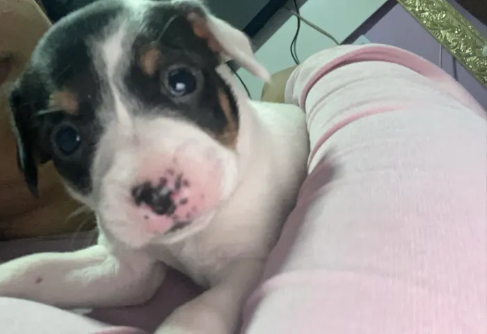 Vende-se
