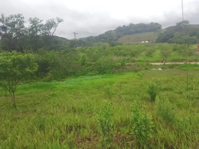 TERRENO 7.000m² Cachoeiras de Macacu